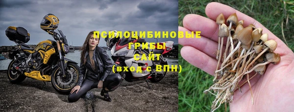 каннабис Арсеньев