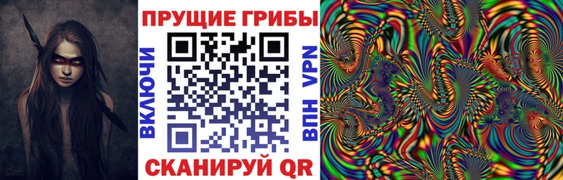 Галлюциногенные грибы прущие грибы сколько стоит omg как войти Новочеркасск
