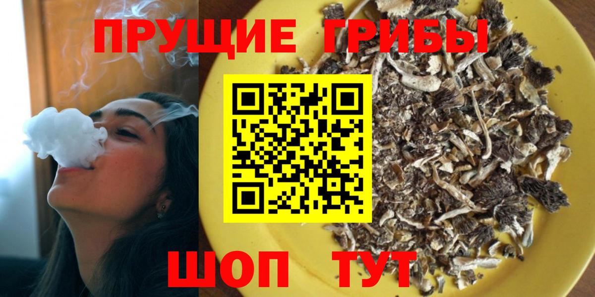 Новочеркасск  где купить наркоту  Вход с VPN  Псилоцибиновые грибы GOLDEN TEACHER 