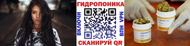 Шишки марихуана индика  Новочеркасск 